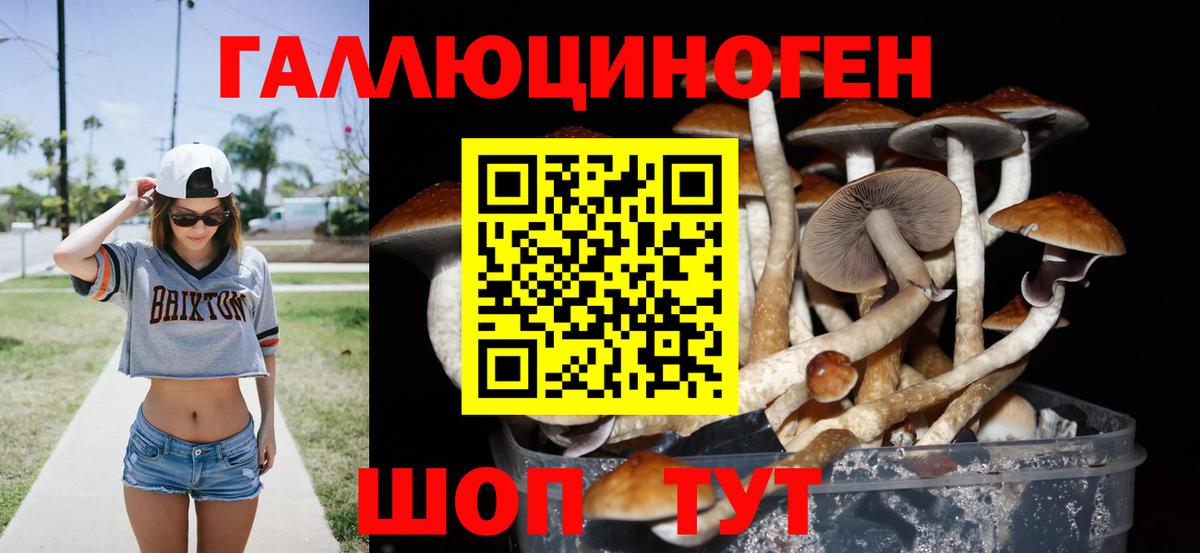 Псилоцибиновые грибы мухоморы Черкесск