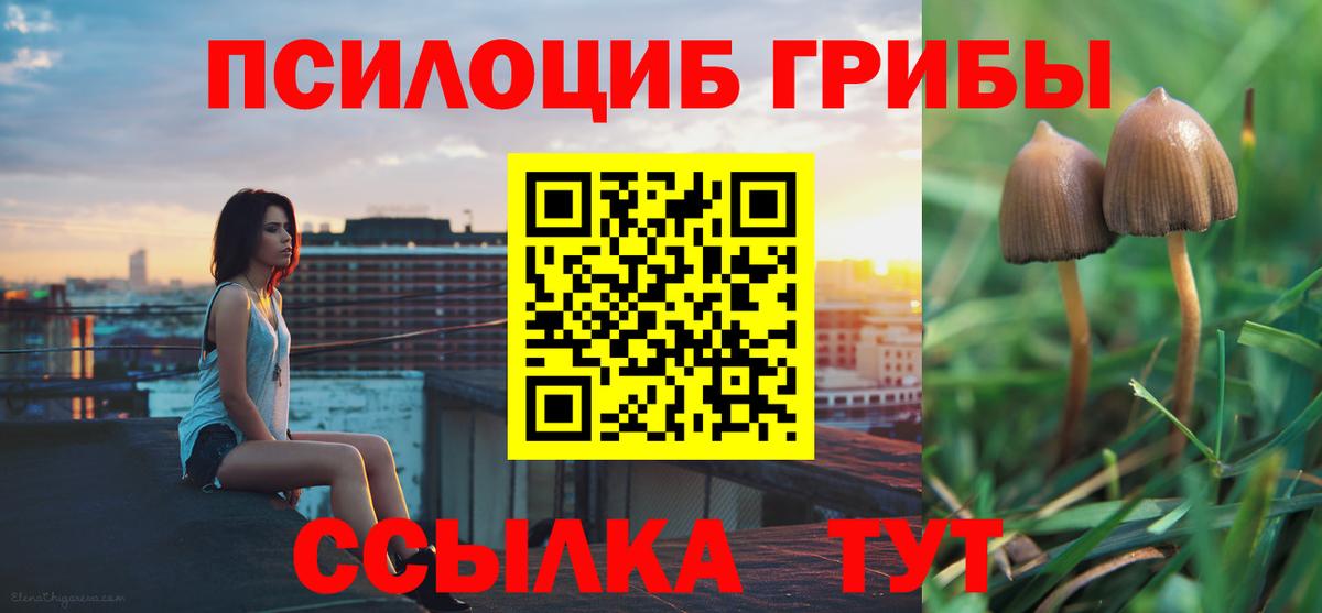 Псилоцибиновые грибы Magic Shrooms  Вход с VPN  Черкесск  Псилоцибиновые грибы MAGIC MUSHROOMS 