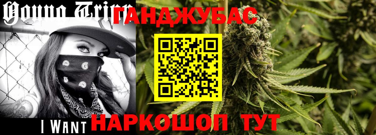 Шишки марихуана планчик  Каннабис Ganja  Черкесск  Бошки Шишки план  Вход с VPN 